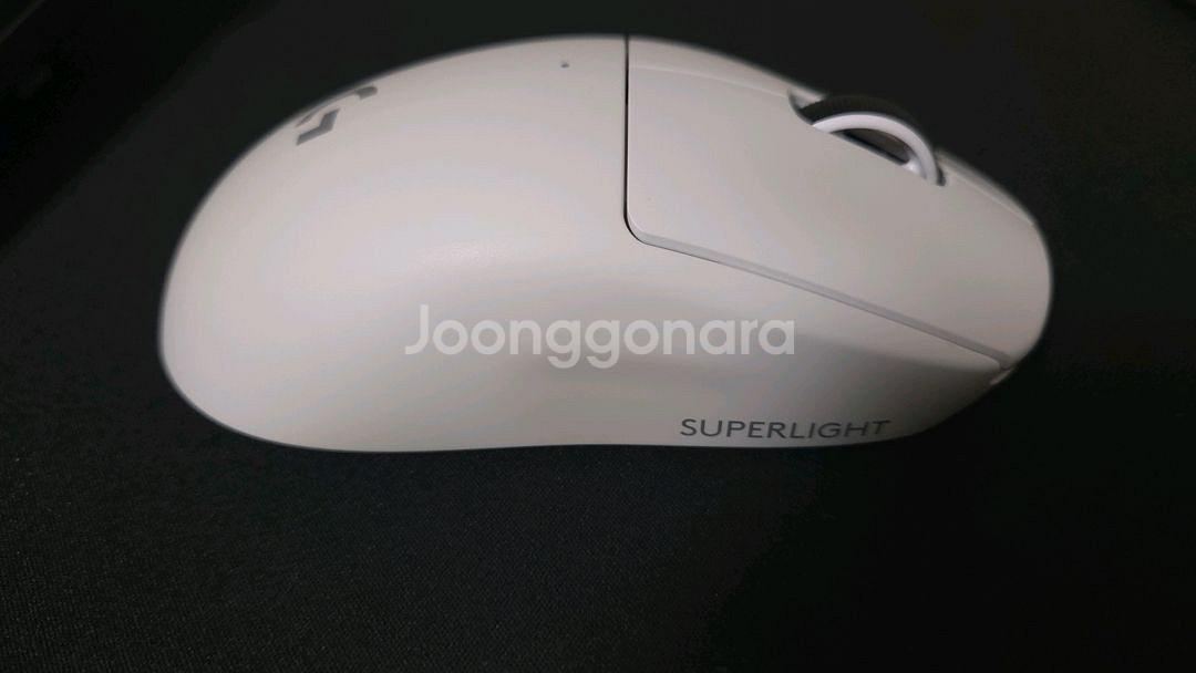 지슈라2 화이트--4