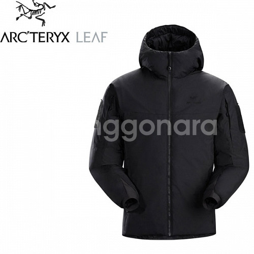 아크테릭스 리프 콜드 wx 후디 LT Gen2.1--0