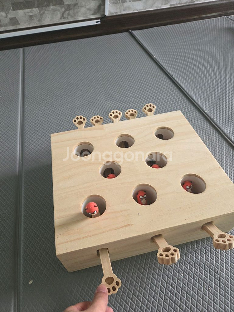 고양이 두더지 잡기 노즈워크 캣토이 8구 장난감--0