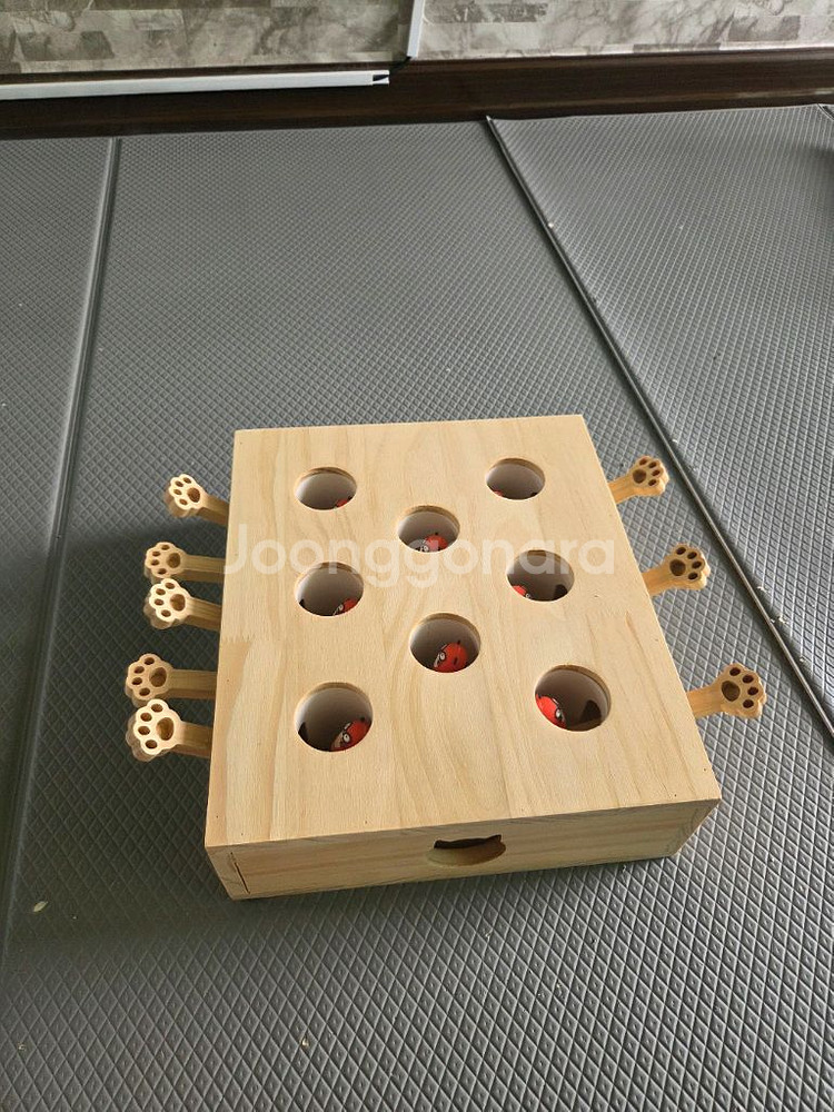 고양이 두더지 잡기 노즈워크 캣토이 8구 장난감--1