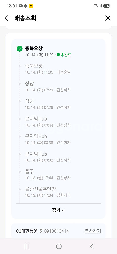 고양이 두더지 잡기 노즈워크 캣토이 8구 장난감--3