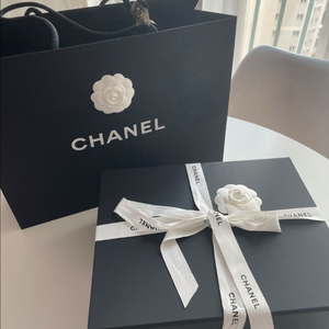 샤넬 가브리엘백팩