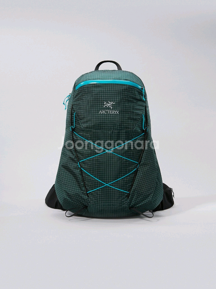 아크테릭스 에어리어스 30 (레귤러)--0