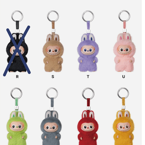 [정품] 팝마트 라부부 내마음속 비밀번호 (N-Z)