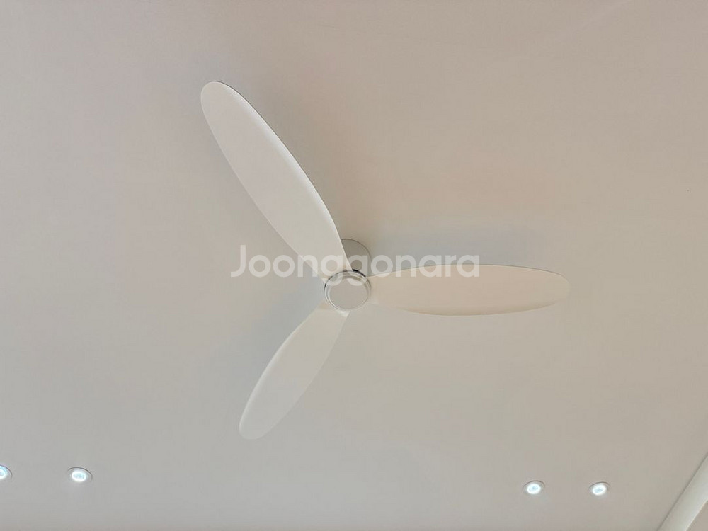 루씨에어 레이더3 실링팬 천장형선풍기 132cm 화이트--2