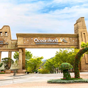 홍천 오션월드 종일권 + 구명조끼