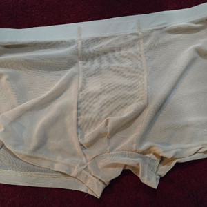 시스루 남자 속옷 판매 (시착 한 번 해봄)