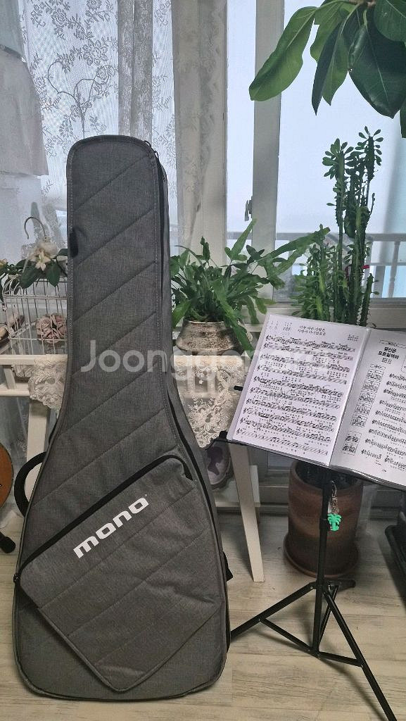 모노 슬리브 어쿠스틱긱백 팝니다--0