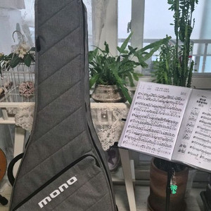모노 슬리브 어쿠스틱긱백 팝니다