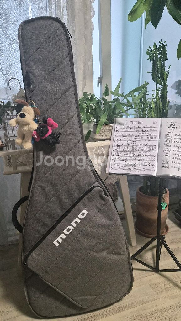 모노 슬리브 어쿠스틱긱백 팝니다--2