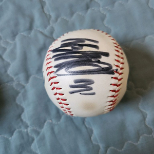 nc다이노스 손아섭 싸인볼