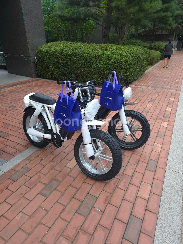 [새상품] 엑스라이더 X200 프로 최신형 전기자전거--0