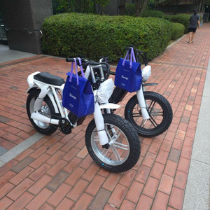 [새상품] 엑스라이더 X200 프로 최신형 전기자전거