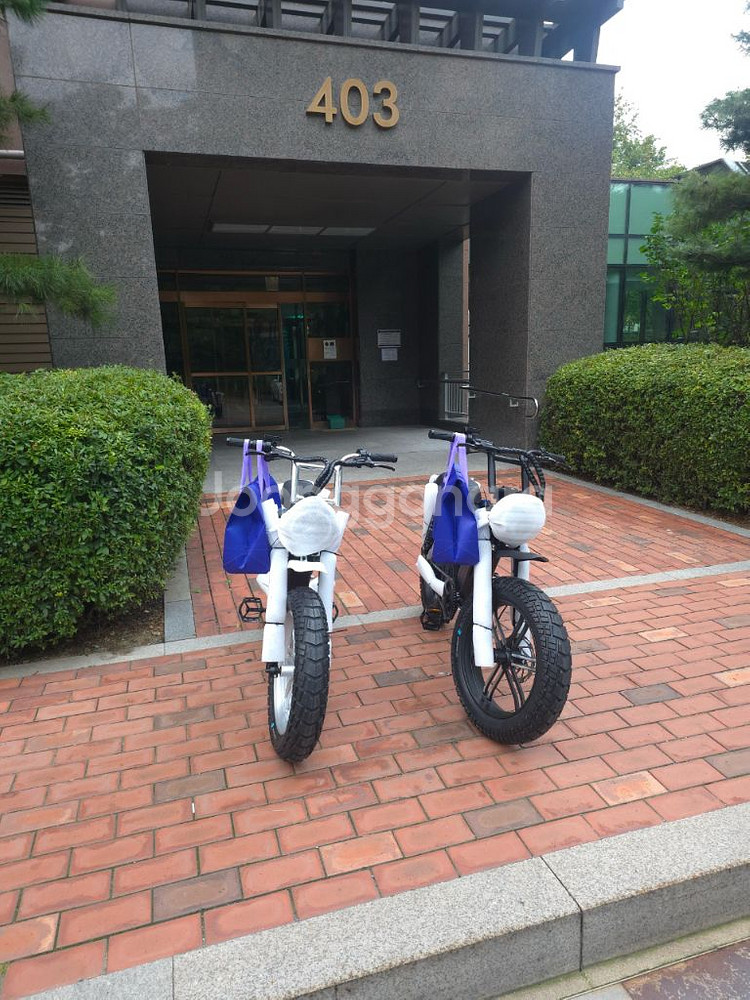 [새상품] 엑스라이더 X200 프로 최신형 전기자전거--2