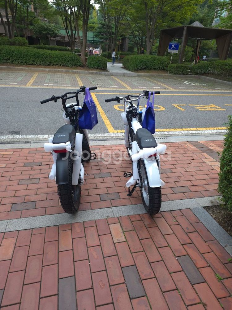 [새상품] 엑스라이더 X200 프로 최신형 전기자전거--3