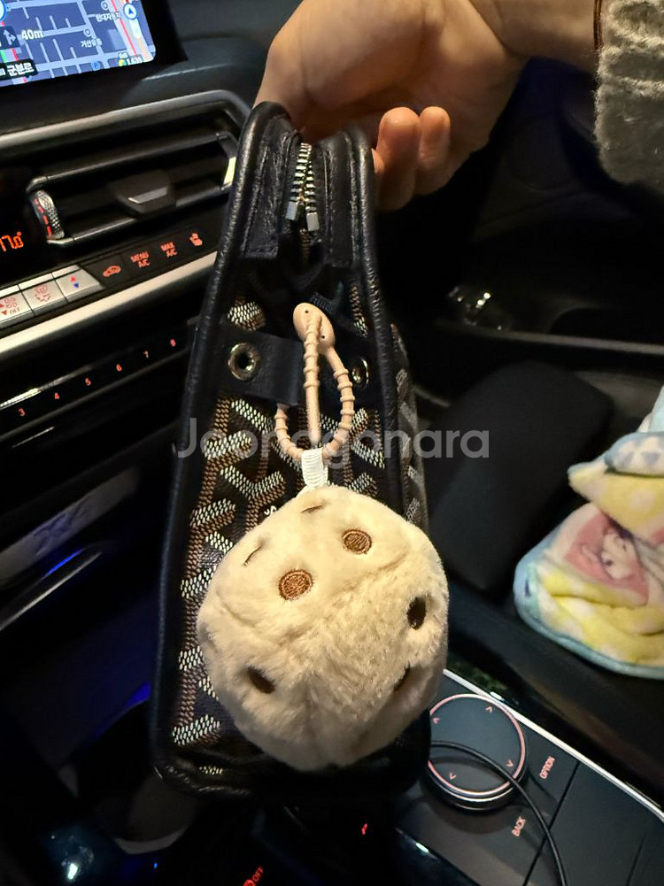 고야드 쥬방스 gm 클러치백--3