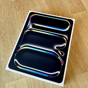 아이패드 프로 13 M5 256G Wifi