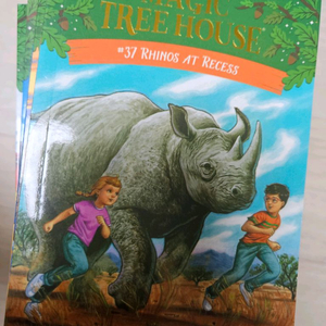 매직트리 중국판