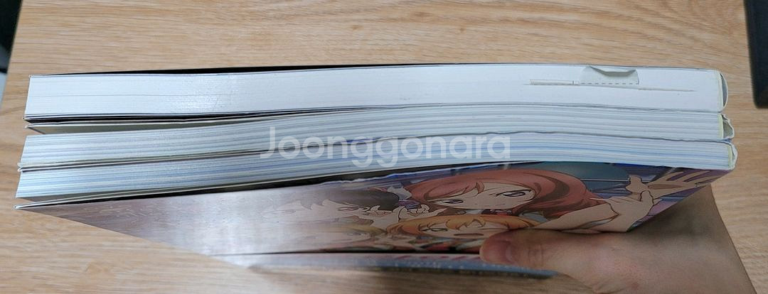 러브라이브 퍼펙트비주얼컬렉션 드림/스마일--2