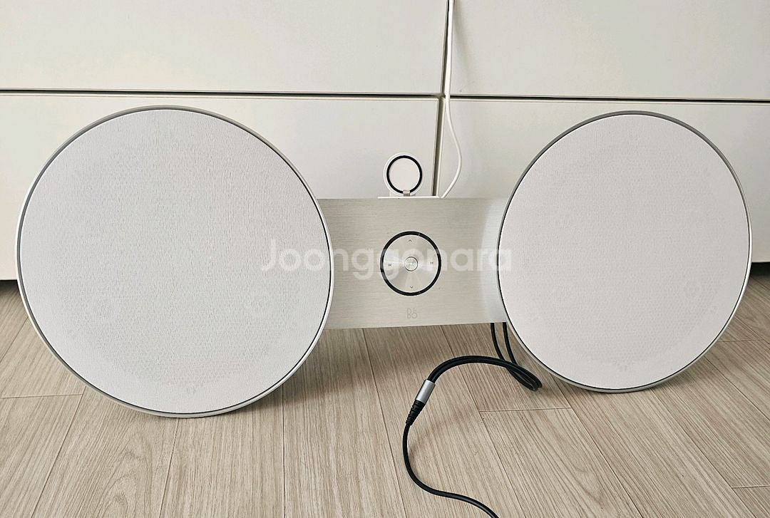 뱅앤올룹슨 베오플레이A8--0