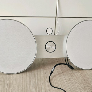 뱅앤올룹슨 베오플레이A8