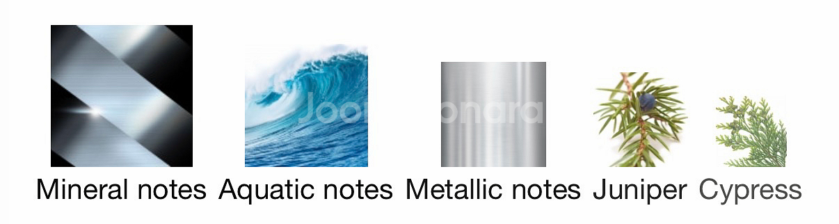 펜디 오 다티피스 100ml--4