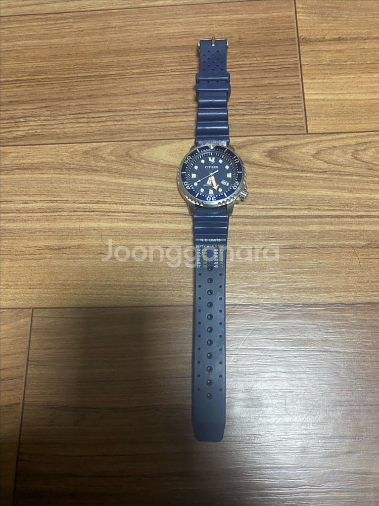시티즌 프로마스터 다이버 시계--1
