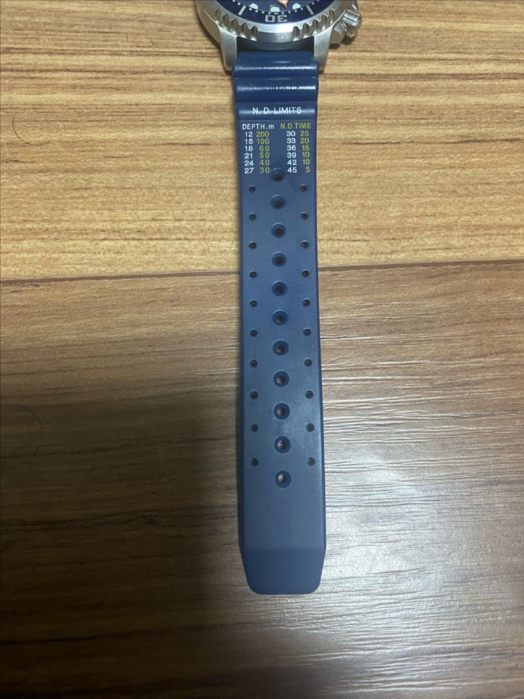 시티즌 프로마스터 다이버 시계--3