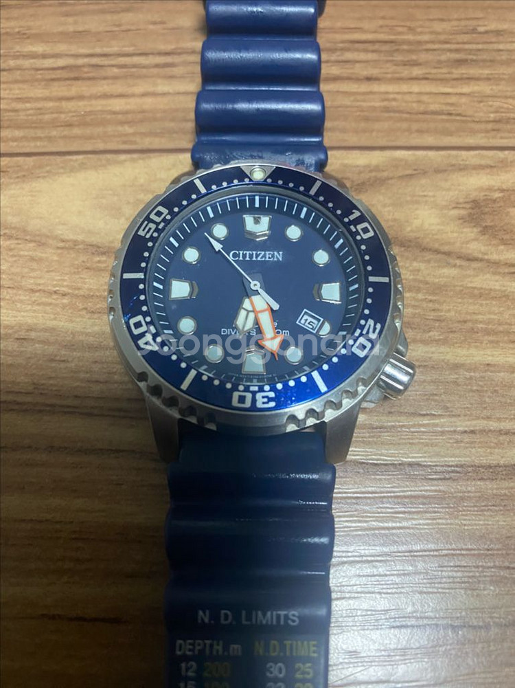 시티즌 프로마스터 다이버 시계--0