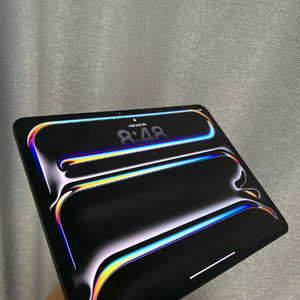 아이패드 프로 m4 13인치 WIFI 256GB