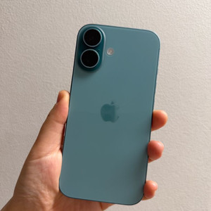 아이폰16 일반 256기가 / 정품 맥세이프 케이스