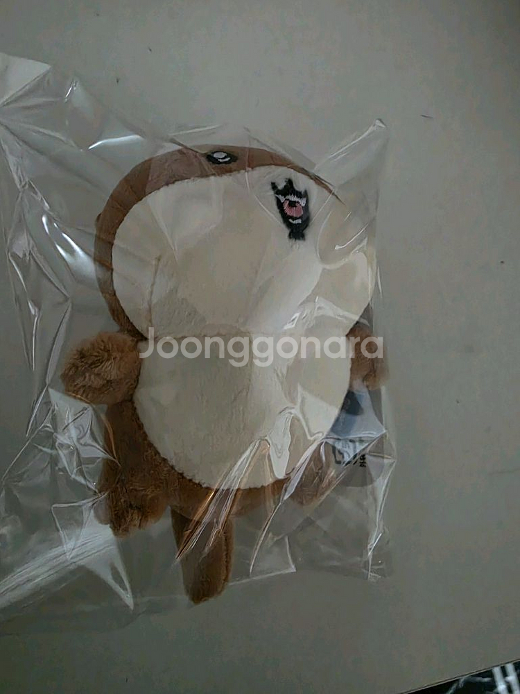 나가노수족관 수달 인형 키링--1