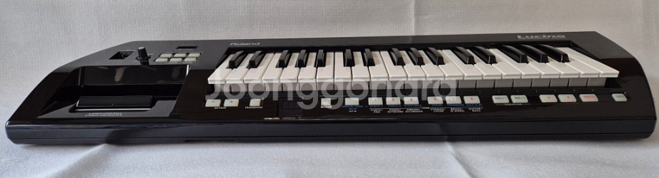 Roland 로랜드 AX-09 루시나 팝니다--1