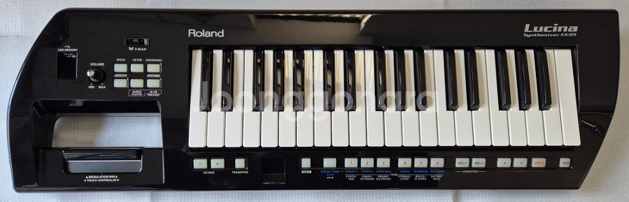 Roland 로랜드 AX-09 루시나 팝니다--0
