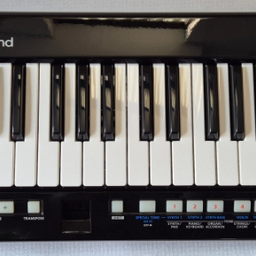 Roland 로랜드 AX-09 루시나 팝니다