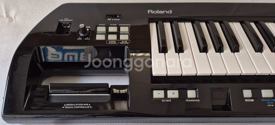 Roland 로랜드 AX-09 루시나 팝니다--3