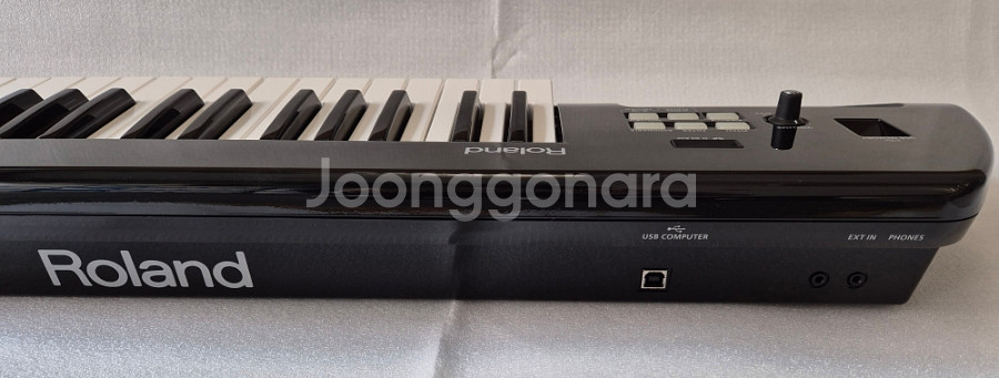 Roland 로랜드 AX-09 루시나 팝니다--5