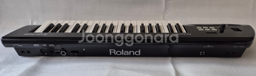 Roland 로랜드 AX-09 루시나 팝니다--4