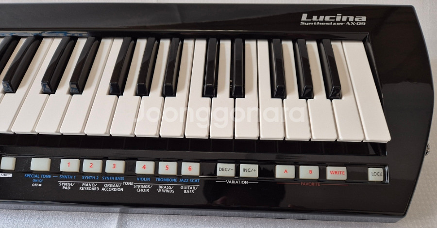 Roland 로랜드 AX-09 루시나 팝니다--2