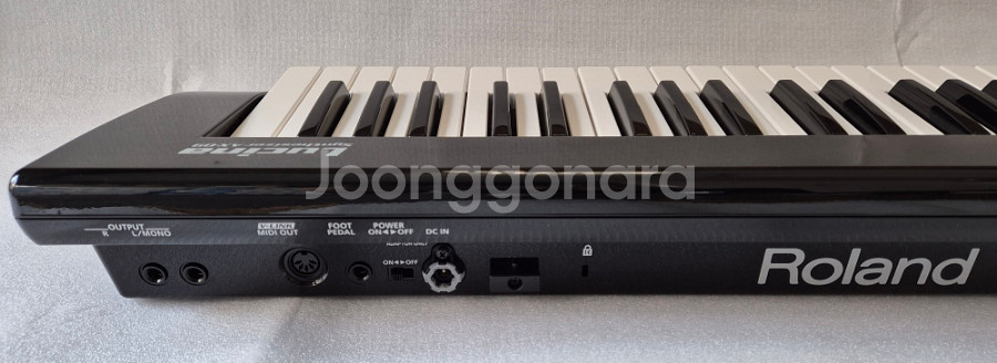 Roland 로랜드 AX-09 루시나 팝니다--6