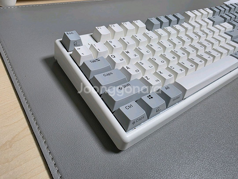 한성 무접점 키보드 gk898b 오피스마스터 50g--3