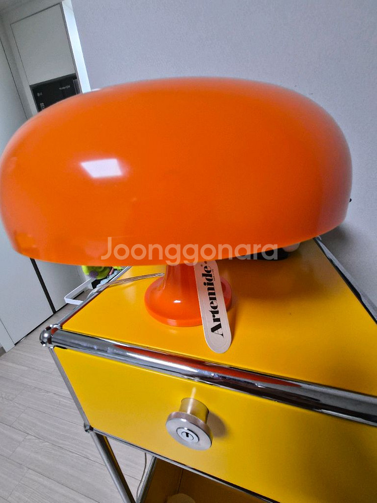 아르떼미데 네시노--0