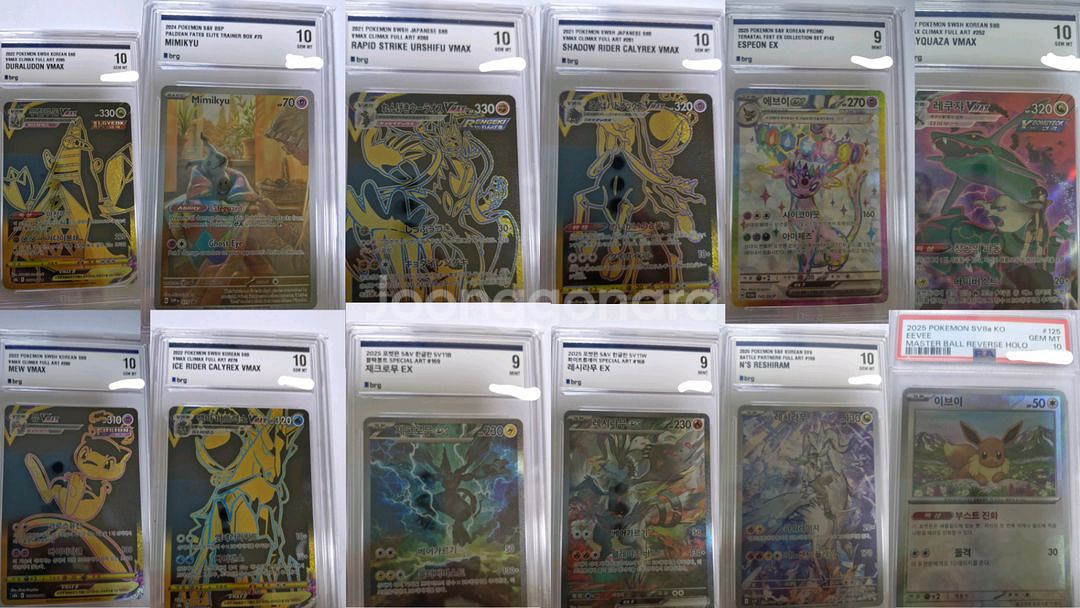 포켓몬카드 샤트 리자몽--3