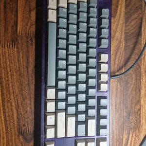 새상품 베놈 80he 래피드트리거 키보드