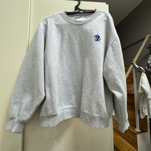 아더에러 자라 콜라보 맨투맨L/xl
