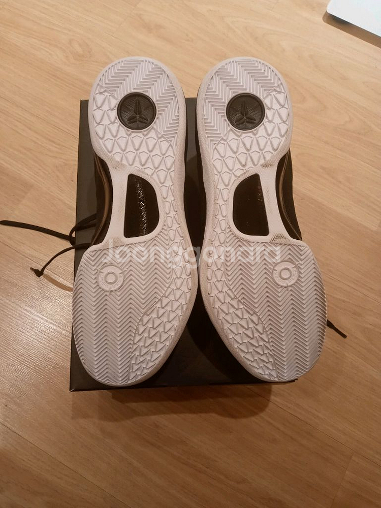 코비 프로트로8--2