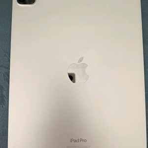 아이패드프로11 4세대 셀룰러