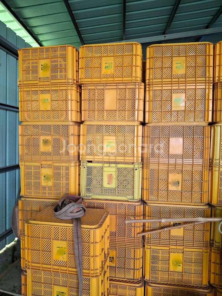 사과박스 컨테이너(수량 다량 보유)ㅡ가격은 상담--1