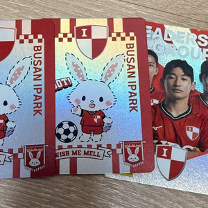 2025 k리그 파니니카드 부산아이파크 산리오 리더십