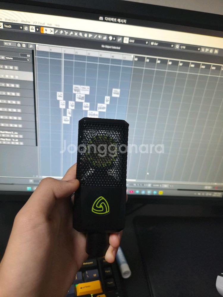 콘덴서 마이크 르윗 LCT441--1